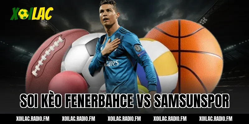 soi kèo fenerbahce vs samsunspor